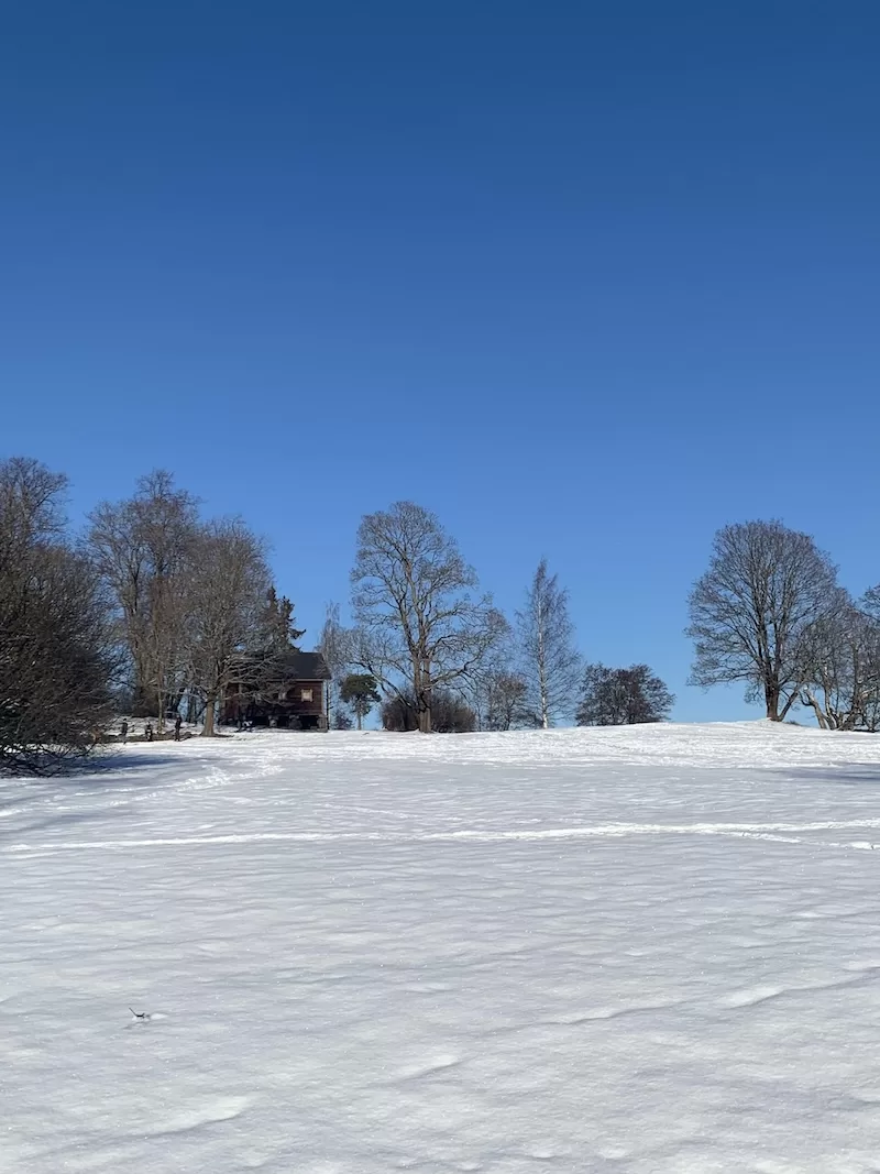 Long winters and quiet resilience shape the Finnish way of life.