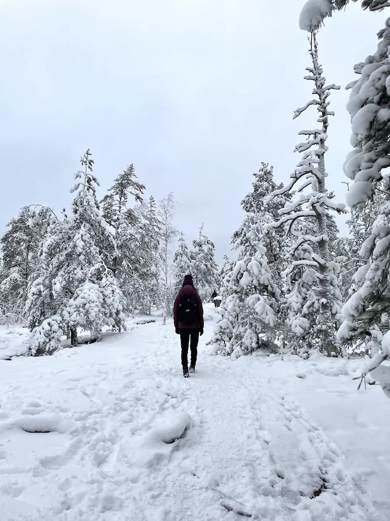 In Finland, happiness is rooted in balance, belonging, and being enough.
