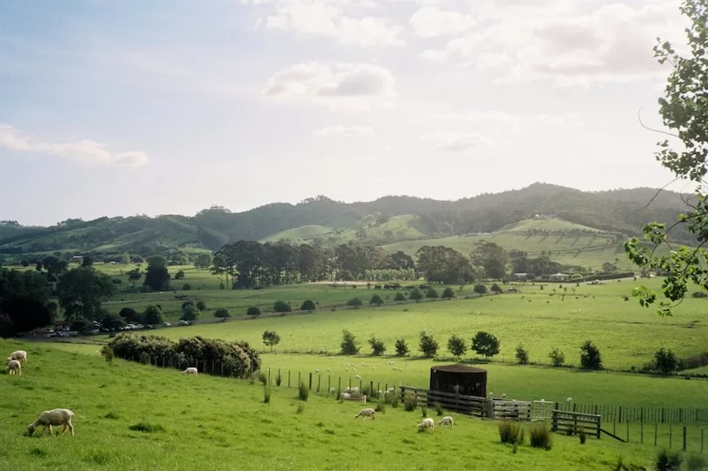One of Auckland’s many green spaces.