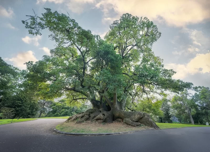 Nature here isn’t separate from the city—it’s a companion.