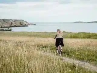 Nordic chapter of adventure