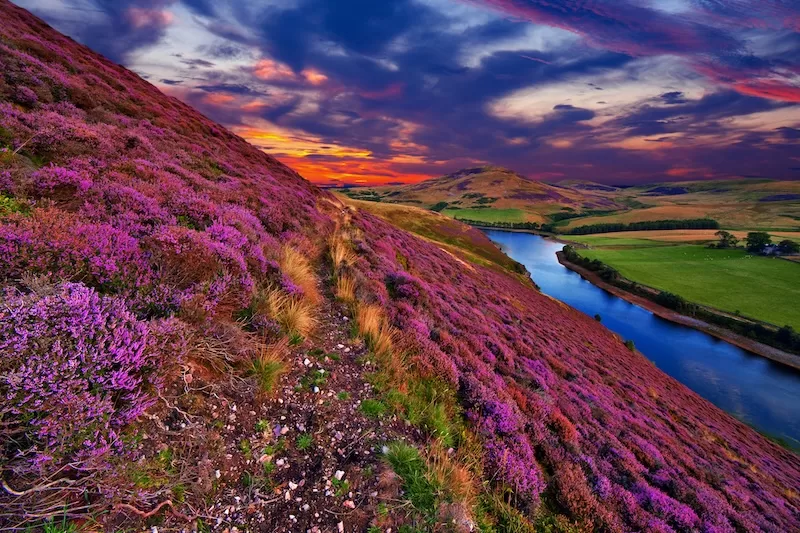 A vivid Scottish landscape in Pentland hills, near Edinburgh
