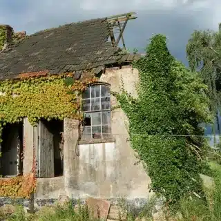 The first glimpse of possibility—abandoned, broken, waiting.