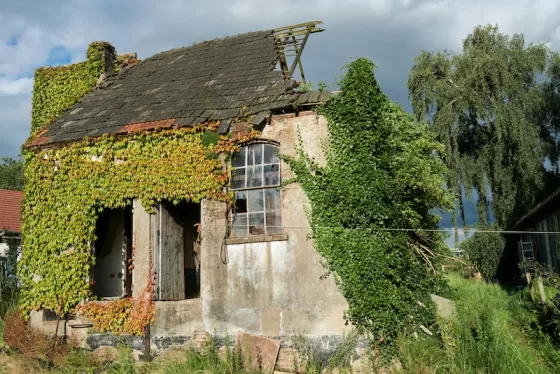 The first glimpse of possibility—abandoned, broken, waiting.