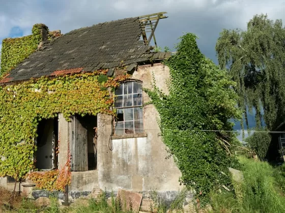 The first glimpse of possibility—abandoned, broken, waiting.