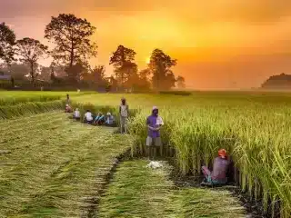 Affordable and Peaceful life in Nepal
