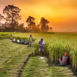 Affordable and Peaceful life in Nepal
