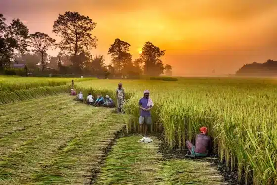 Affordable and Peaceful life in Nepal