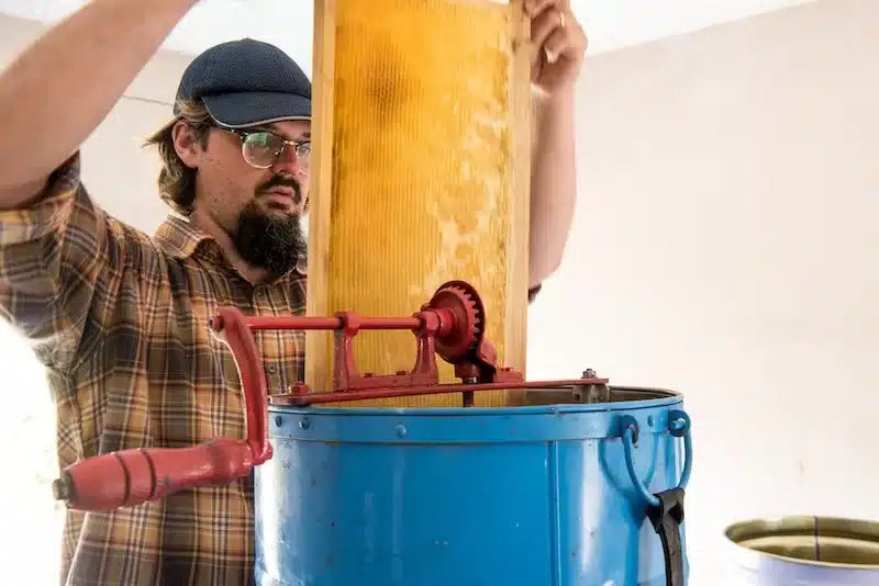 Beekeeping has become a daily rhythm and a growing part of their life.
