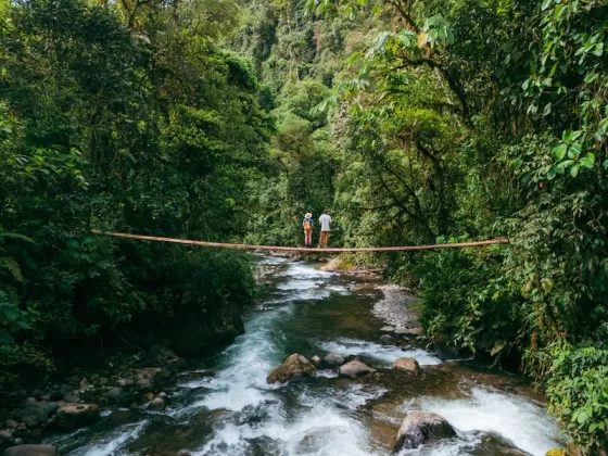 Best Places to live in the World