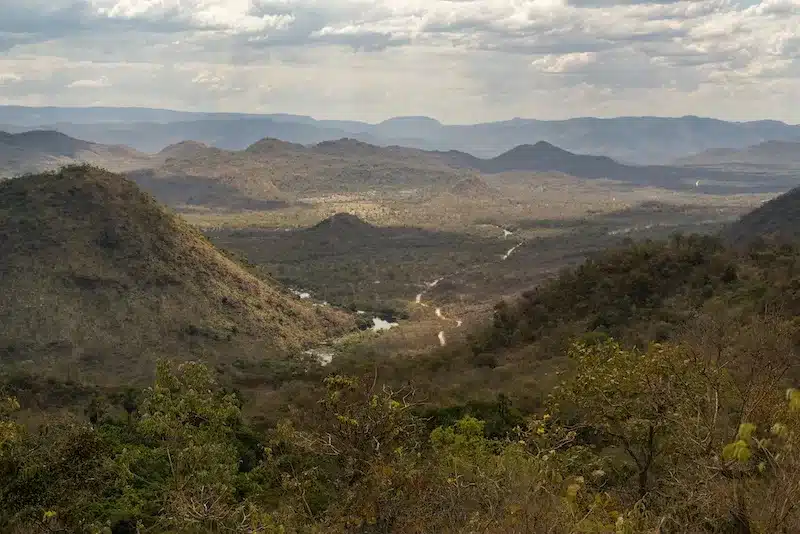 German Tourist Carolina Wilga survived 12 Days alone