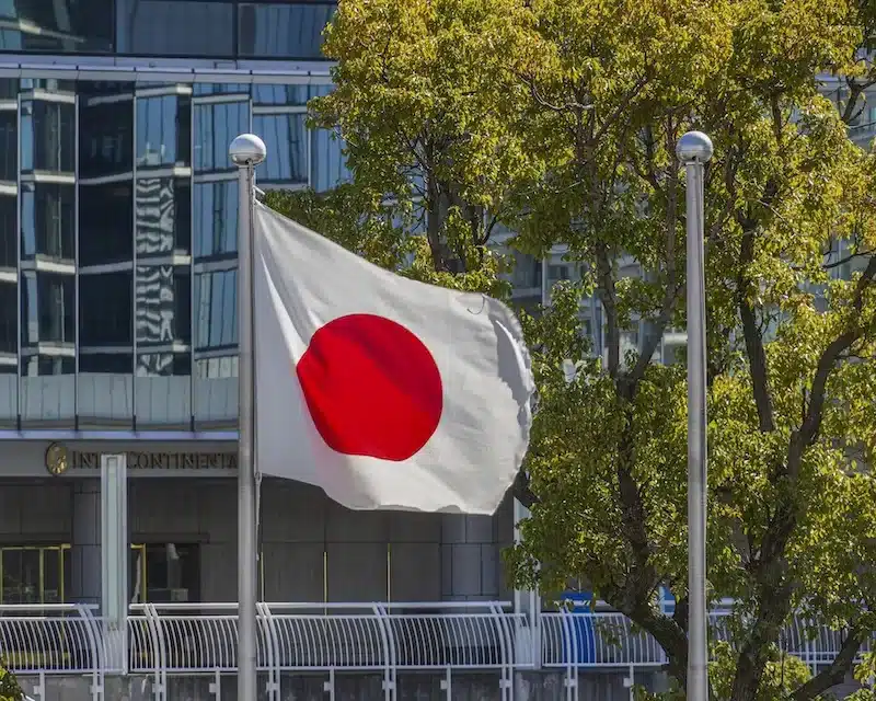 Japan’s political landscape shifts as online populism gains traction