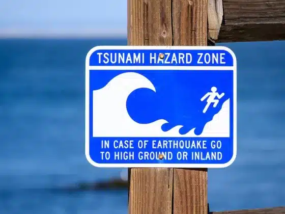 Tsunami alerts issued after major quake in Russia’s Far East