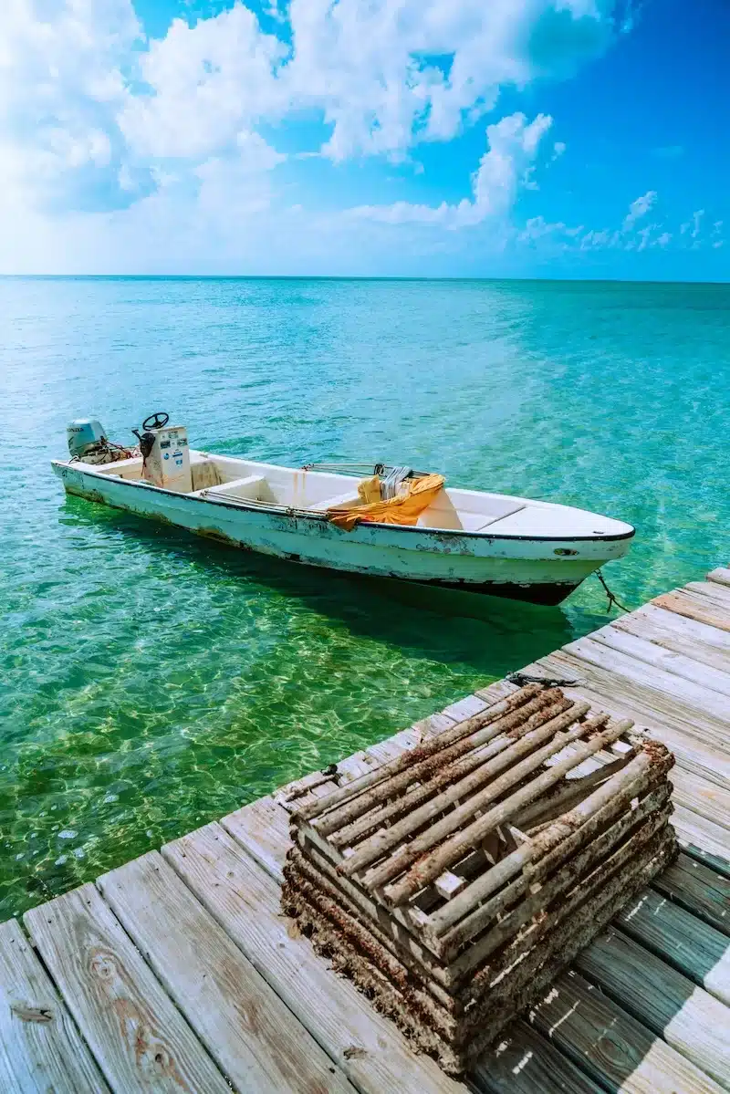 A marine ecosystem, a healthy financial system relies on balance