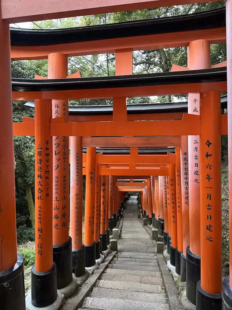 From hidden alleyways to mountain trails, Tokyo is a gateway to endless adventures.