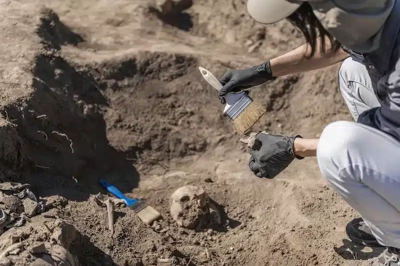 Fossils in East Africa suggest two types of human ancestors lived side by side more than two million years ago