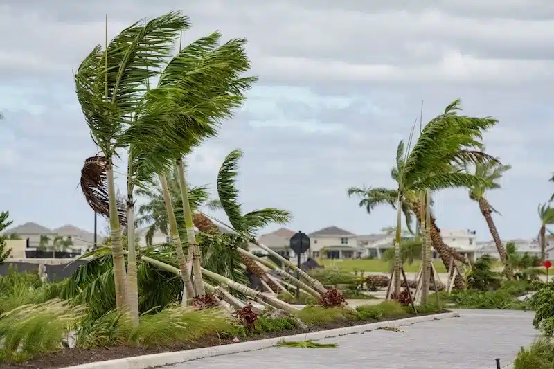 Hurricane Erin stirs up the Atlantic