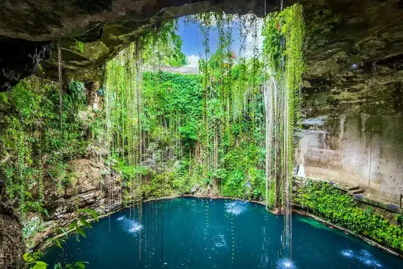 The transparent waters and hanging roots at Ik-Kil Cenote in Mexico’s Yucatan Peninsula