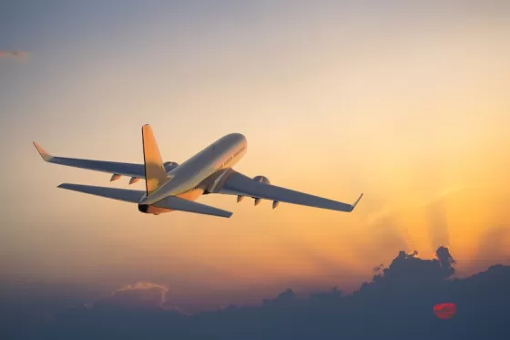 The search for a second passport has shifted from luxury to necessity for many Americans