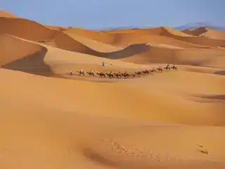 The sweeping desert plains of Western Sahara, where beauty meets political tension