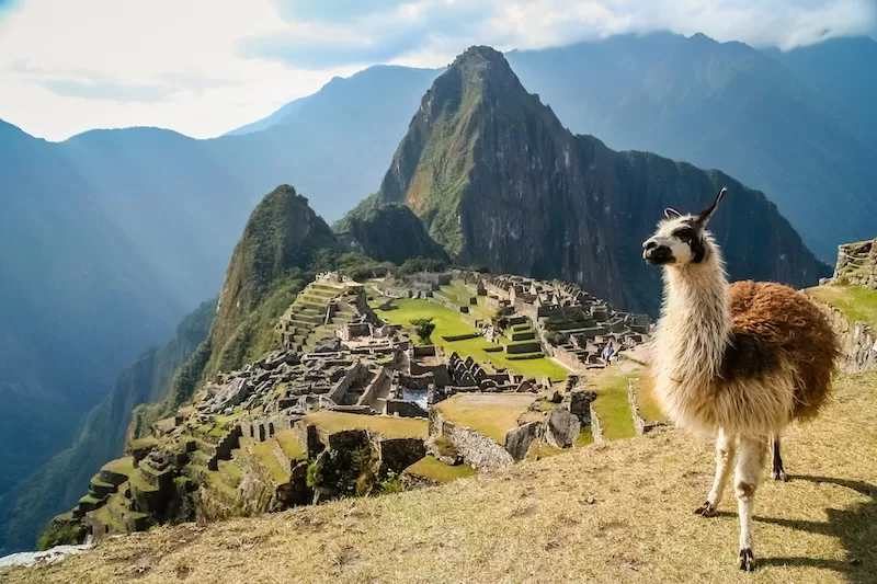Protests halt access to the ancient citadel of Machu Picchu