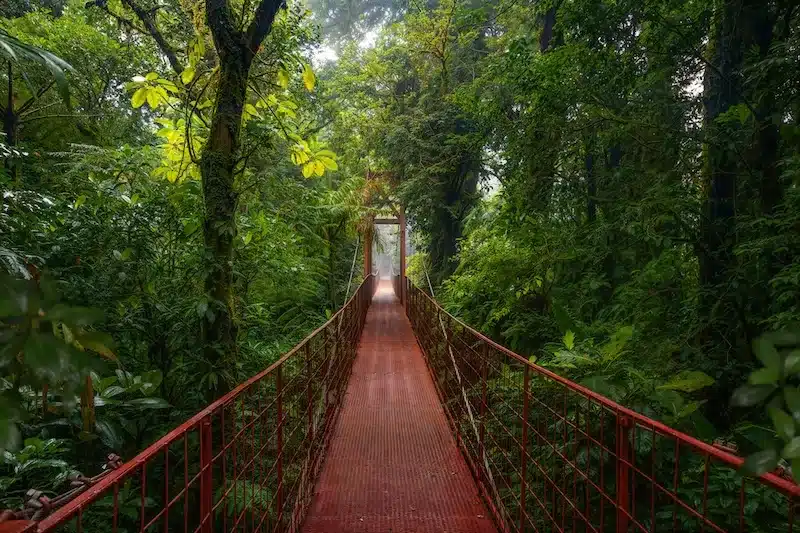 After the downpour, the air smells of earth and rain