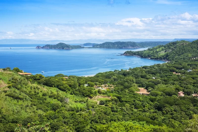 In Rainy Season: Wild Costa Rica: lush, green, alive in every direction