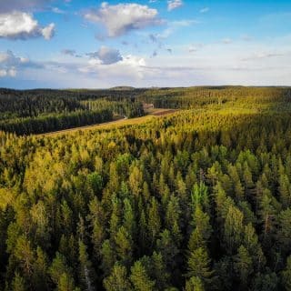 Summer in Lapland: Lapland’s wild landscapes glow under the endless Arctic sun