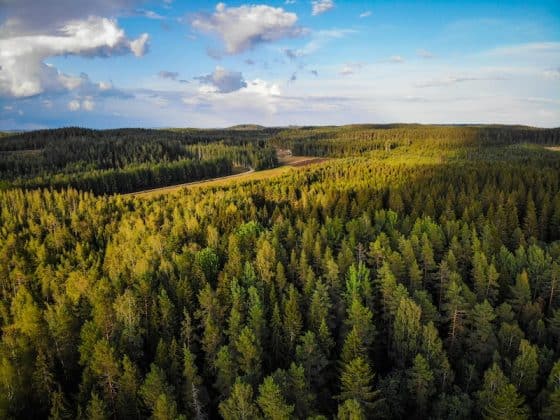 Summer in Lapland: Lapland’s wild landscapes glow under the endless Arctic sun