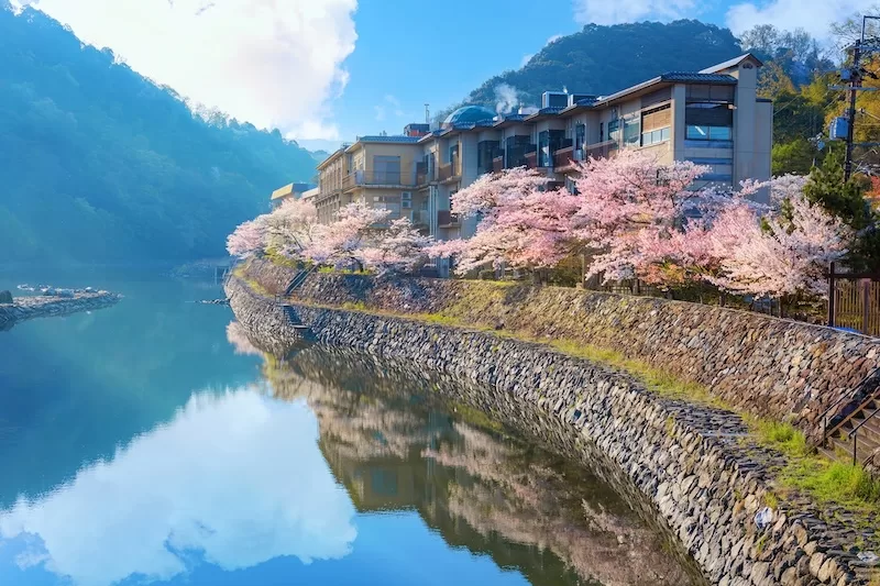 Uji remains Japan’s spiritual home of matcha