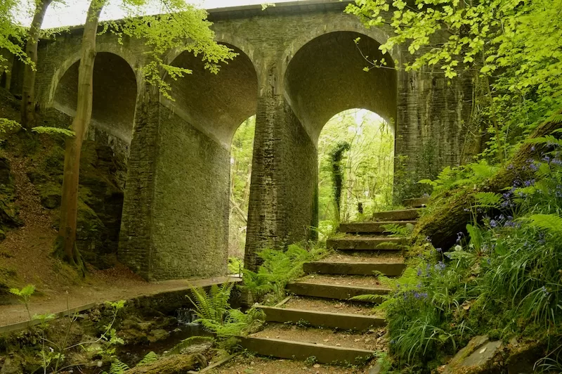 Wild coastal paths wind through Celtic glens and misty hills
