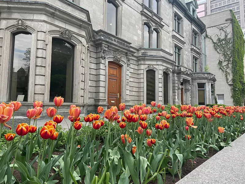 Sherbrooke Street, Montreal