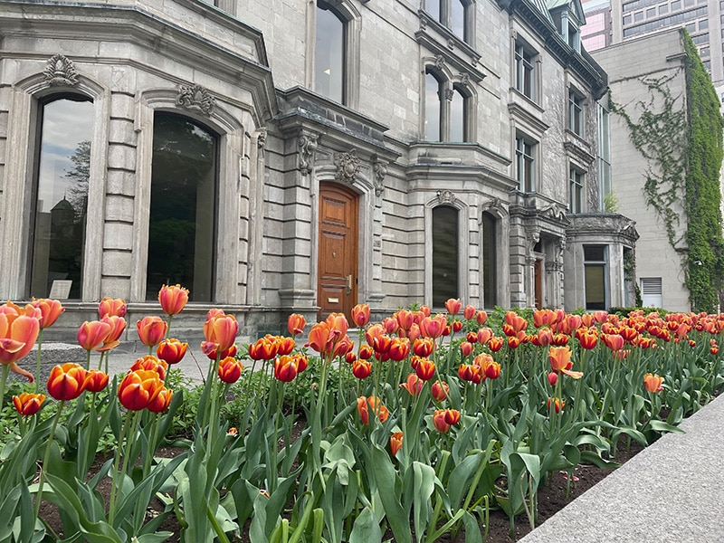 Sherbrooke Street, Montreal