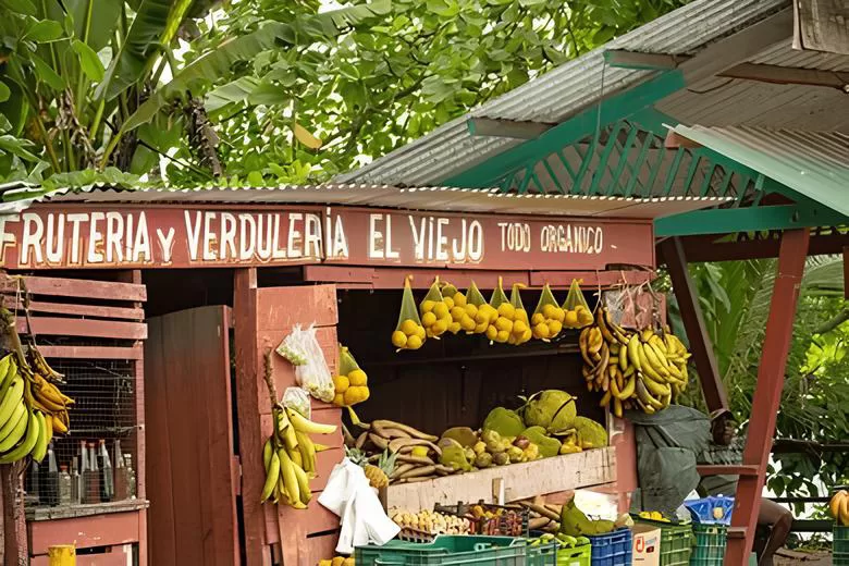 Local fruit stands like this one are a perfect example of Costa Rica’s affordable lifestyle: fresh, organic produce at prices that make healthy living easy.