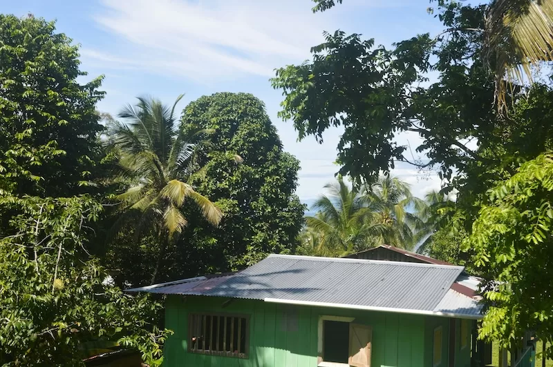 A rustic Caribbean-style home surrounded by dense tropical greenery, a classic example of Costa Rica’s eco-lodge living, where nature shapes architecture and the jungle is both backdrop and neighbor.