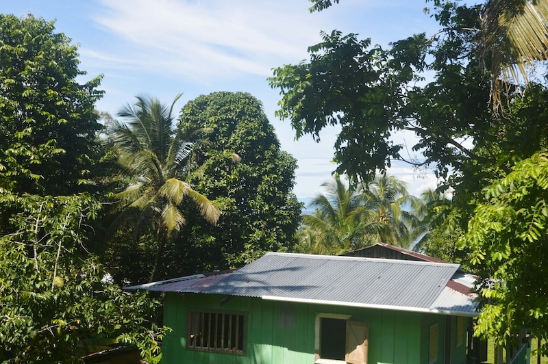 A rustic Caribbean-style home surrounded by dense tropical greenery, a classic example of Costa Rica’s eco-lodge living, where nature shapes architecture and the jungle is both backdrop and neighbor.