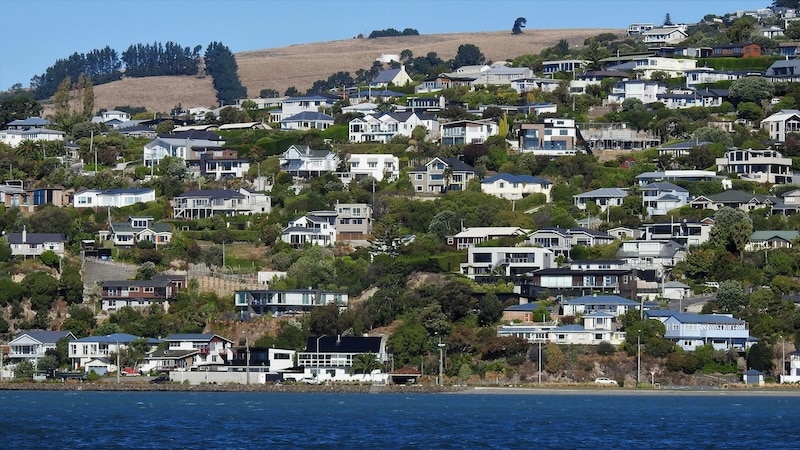 Residential neighborhoods in coastal New Zealand — property and rental prices can differ by more than 40% between major cities like Auckland and smaller towns.