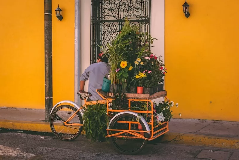 A bright morning in Mérida, where everyday scenes — like a vendor’s bike overflowing with flowers — reflect the city’s calm, friendly rhythm and sense of safety.