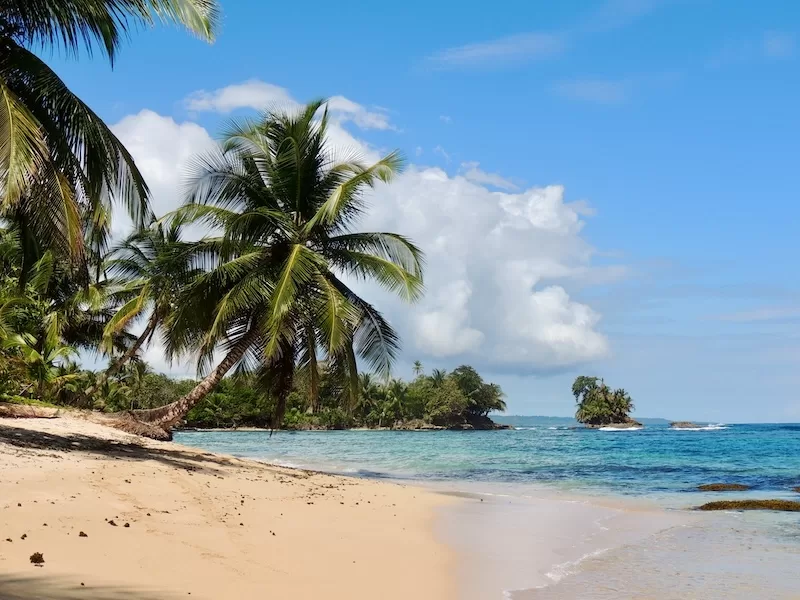 Panama’s coastlines are as diverse as its lifestyles, from the calm beaches of Pedasí to the turquoise waters of Bocas del Toro.