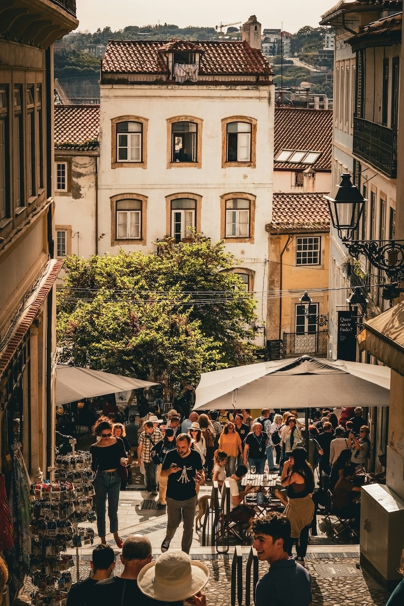 Coimbra’s charm lives in its streets, with music, chatter, and history meeting under the same warm light.
