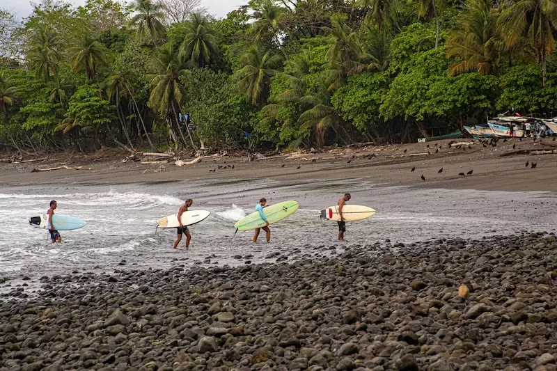 Surfers heading out at dawn on Costa Rica’s Pacific coast, a daily ritual that captures the essence of Pura Vida.