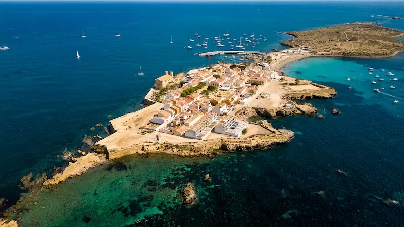 Cats roam freely on Spain’s Tabarca Island