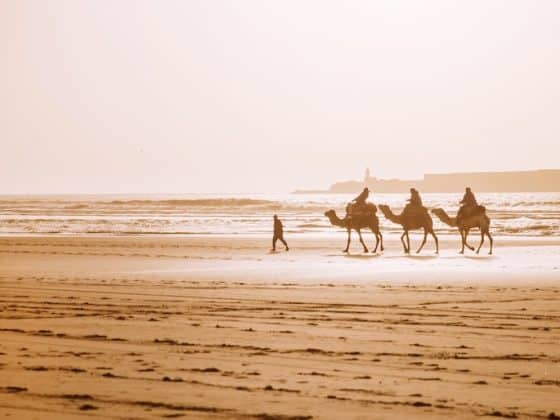 Tamraght Morocco’s Best Digital Nomad destinations