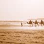 Tamraght Morocco’s Best Digital Nomad destinations