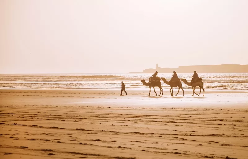 Tamraght Morocco’s Best Digital Nomad destinations