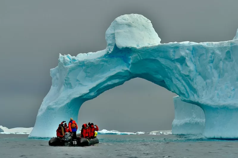 News Headlines: Vast Colonies of icefish nests stretching across the Weddell Sea