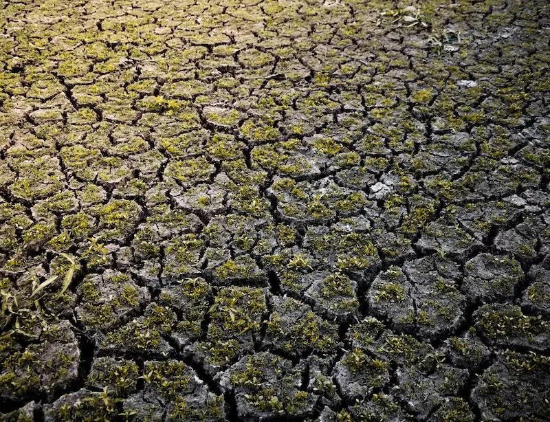 New Reports Warn Global Warming