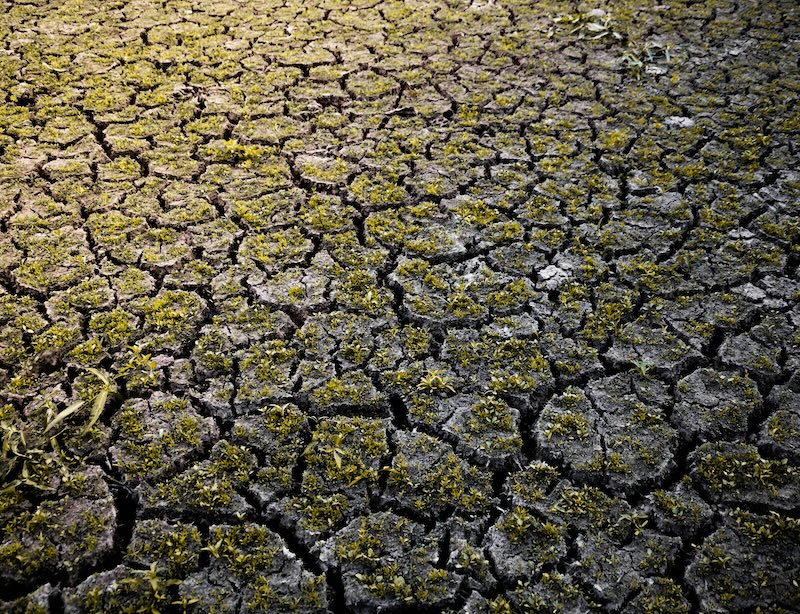 New Reports Warn Global Warming