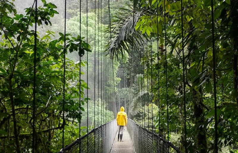 A child in a yellow raincoat walks across a hanging bridge deep in the cloud forest. In Costa Rica, nature is not something to visit but to live within. Every path becomes a lesson in patience, curiosity, and awe.