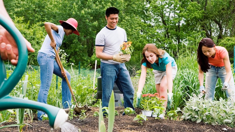 Joining in builds more than gardens. It builds the relationships that make Costa Rica feel like home.